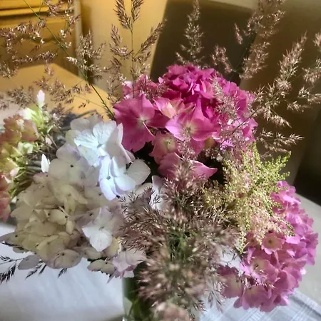 Le Domaine D'etaville 4* Sottevast