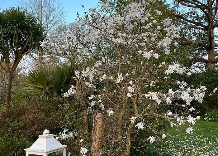 Bed & Breakfast Le Domaine D'etaville 4*