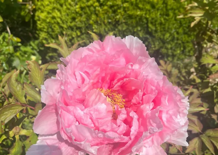 Le Domaine D'etaville 4*