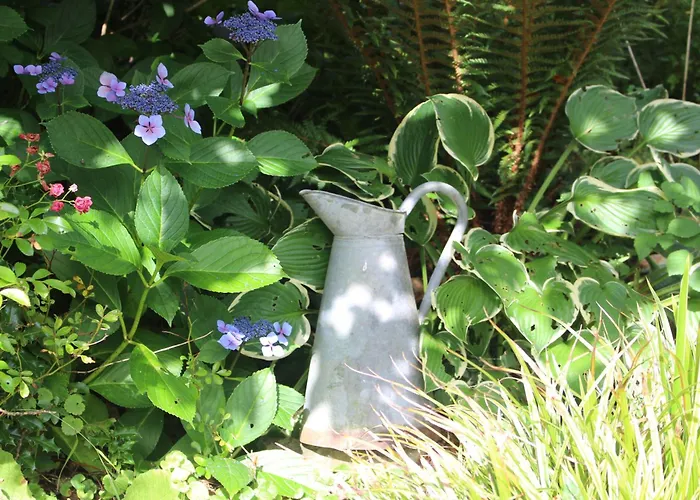 Bed & Breakfast Le Domaine D'etaville 4*